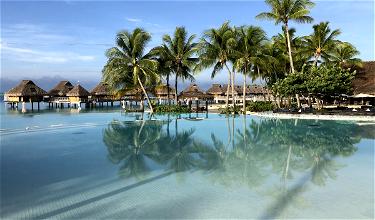 Hilton Surpass Vs. Hilton Business Card Comparison